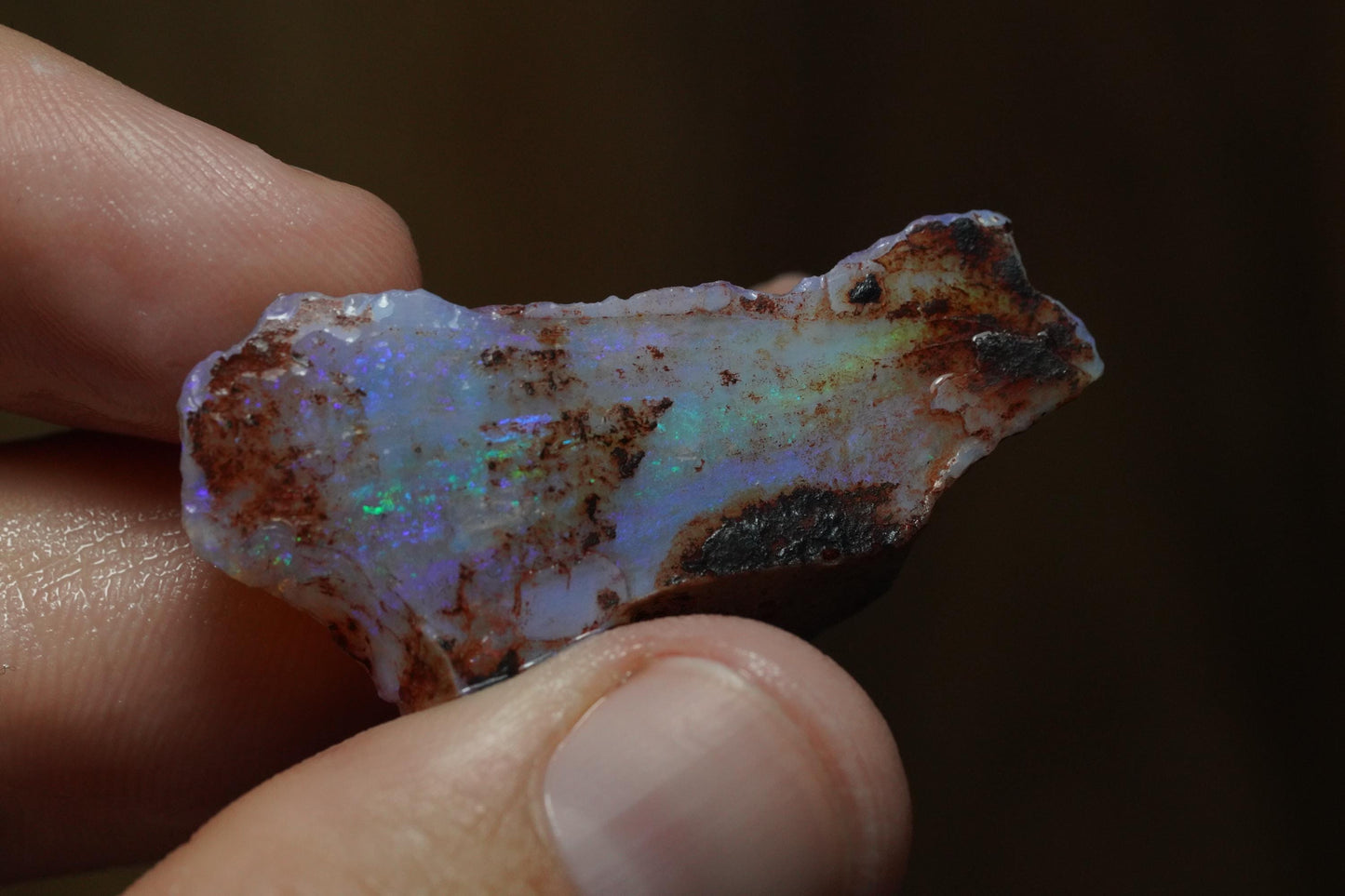 Rough Australian Opal