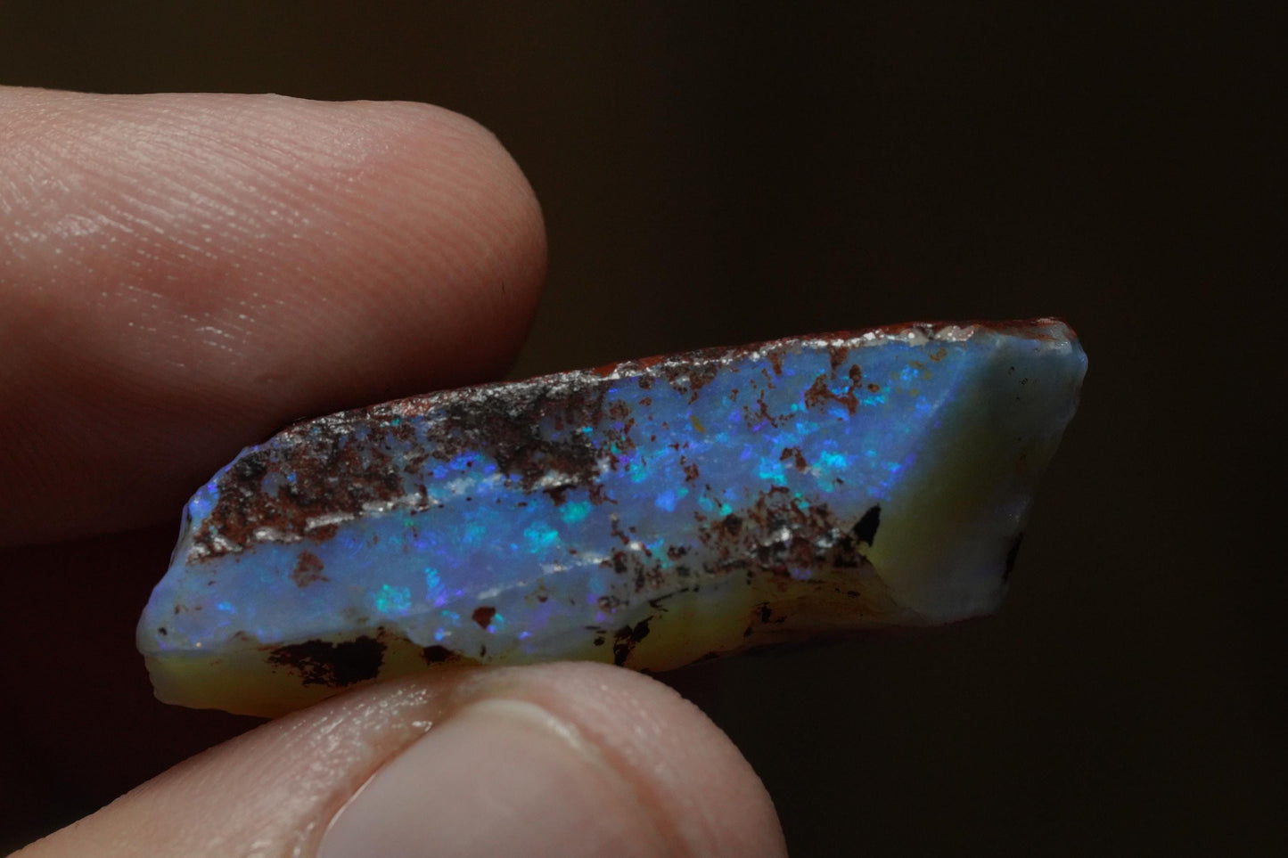 Rough Australian Opal