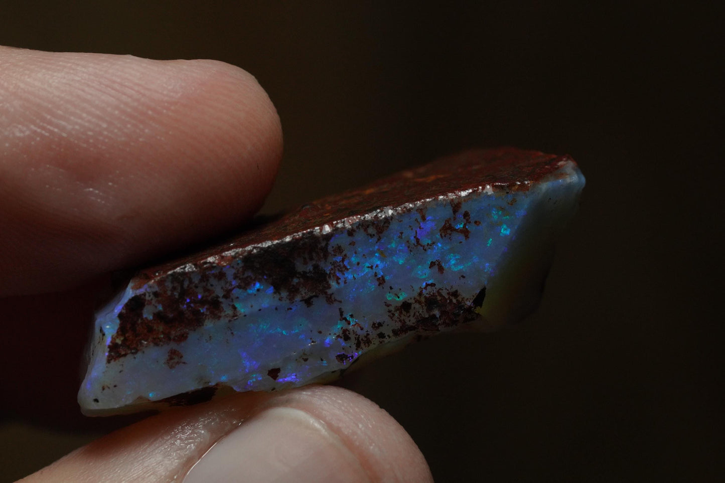 Rough Australian Opal