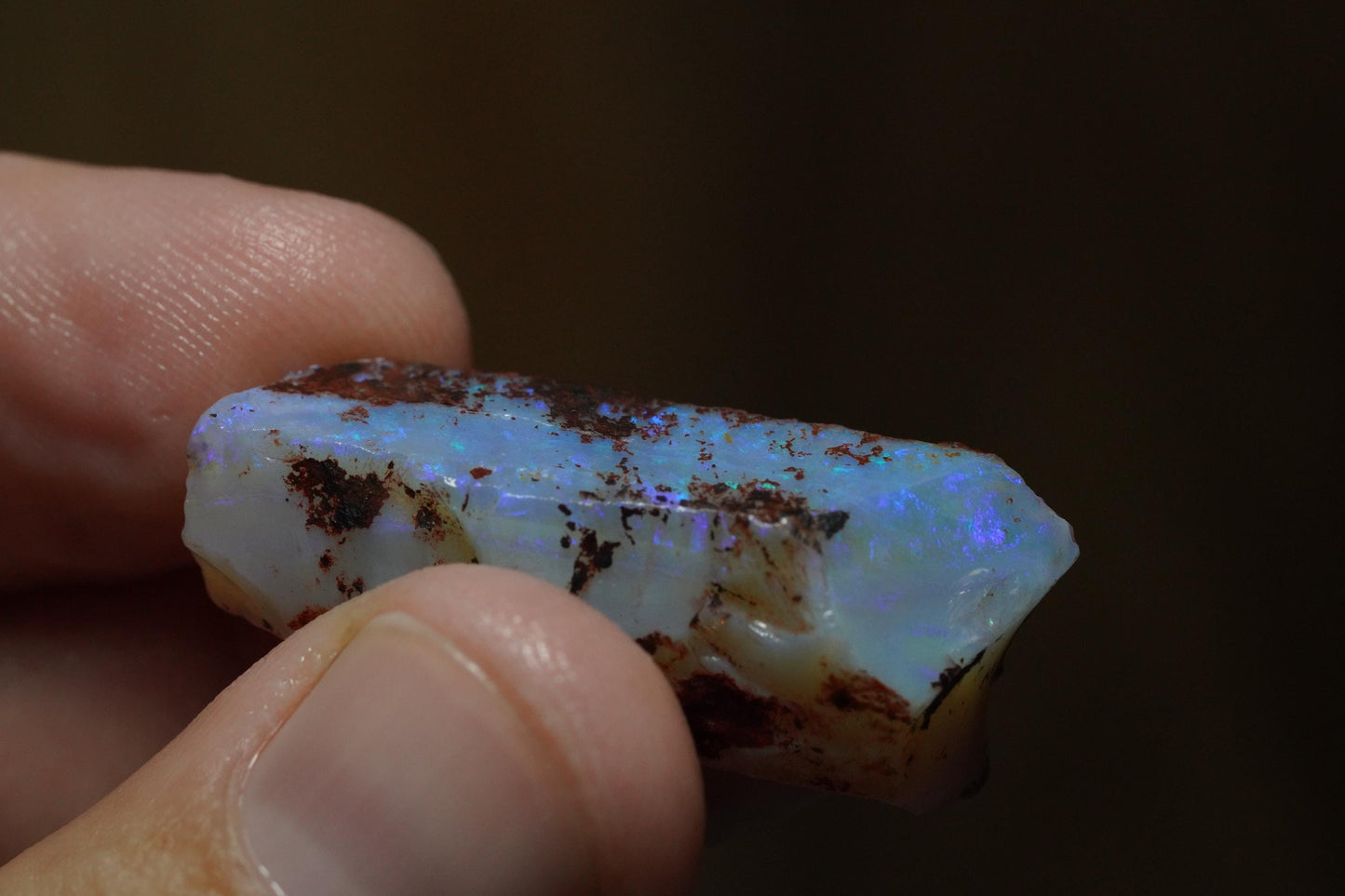 Rough Australian Opal