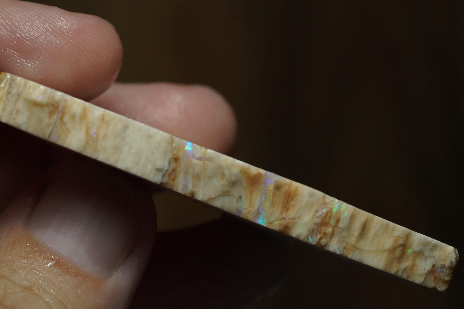 Petrified Opalised Wood Fossil Specimen