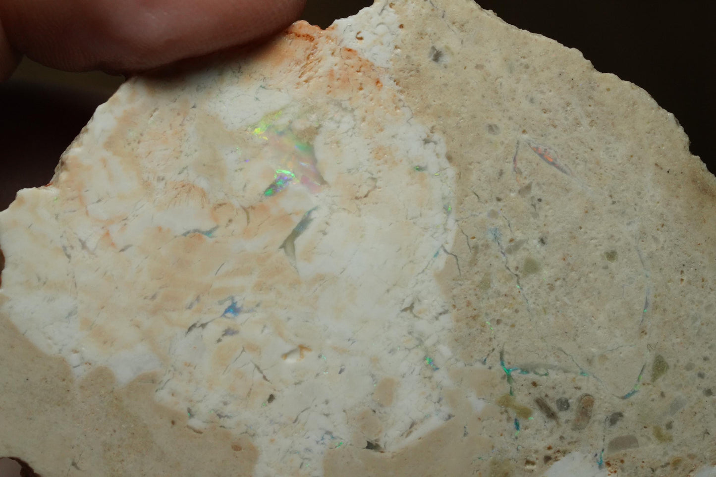 Petrified Opalised Wood Fossil Specimen