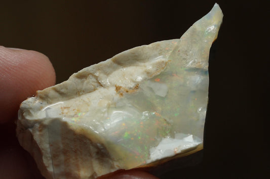 Petrified Opalised Wood Fossil Specimen