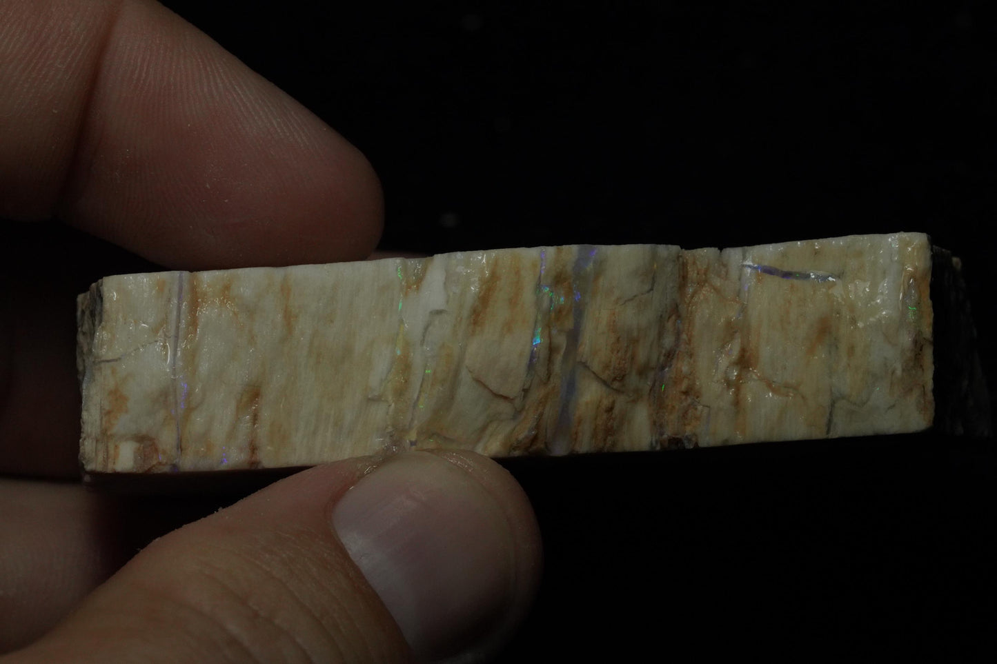 Petrified Opalised Wood Fossil Specimen