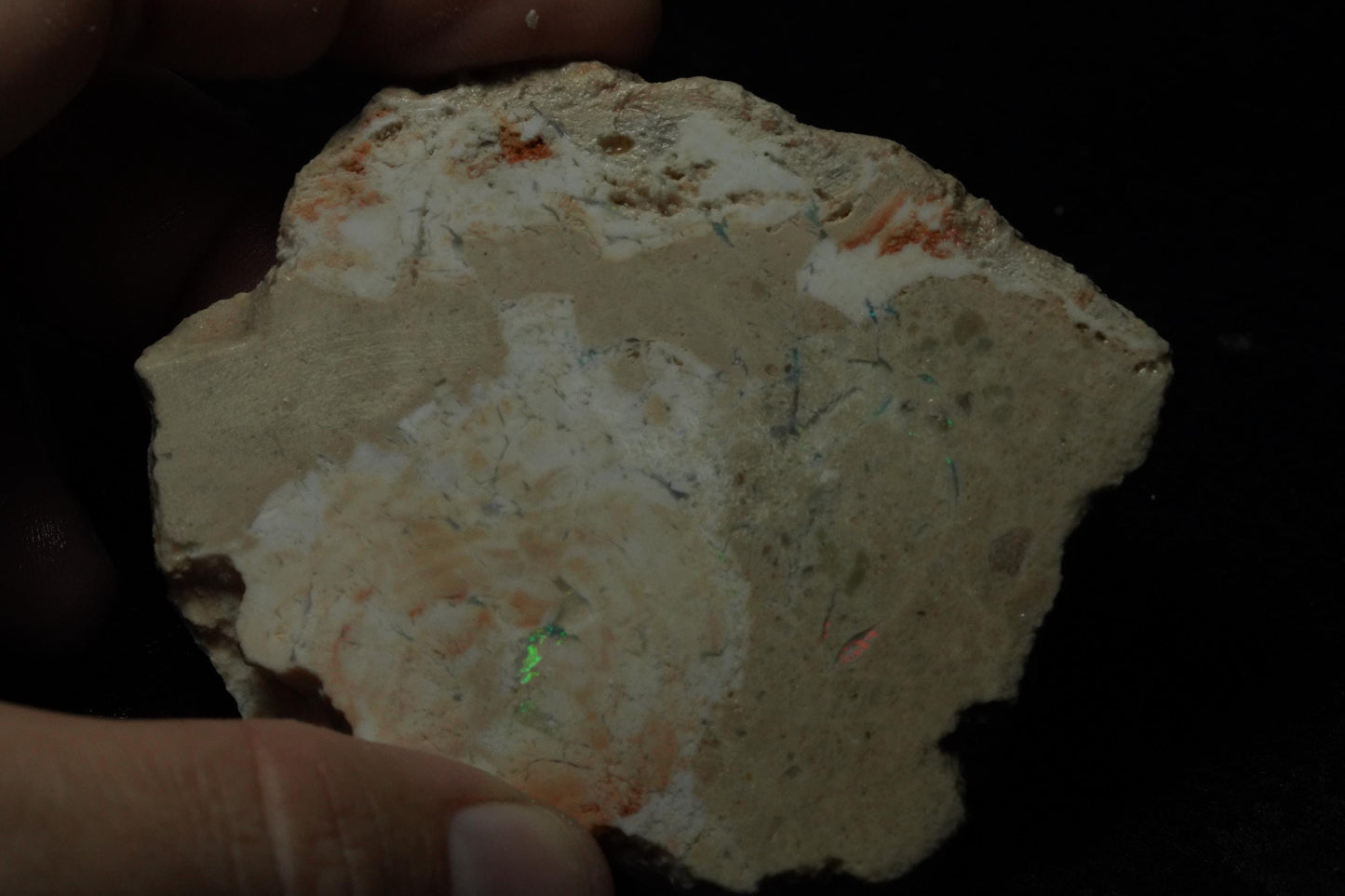 Petrified Opalised Wood Fossil Specimen