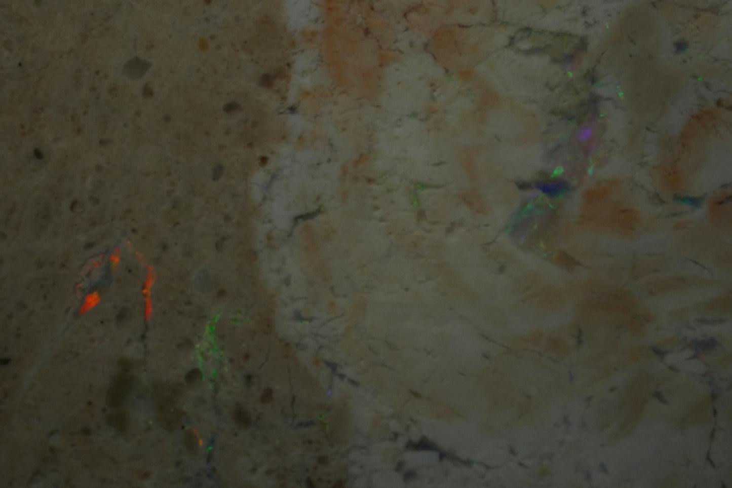 Petrified Opalised Wood Fossil Specimen