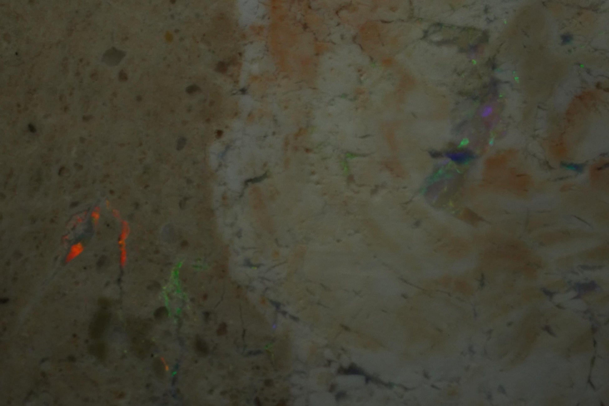 Petrified Opalised Wood Fossil Specimen