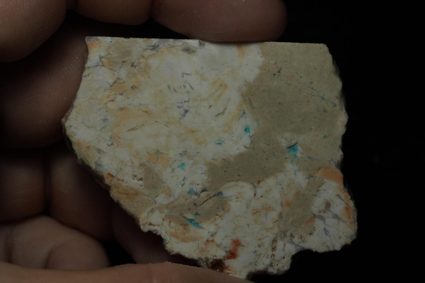 Petrified Opalised Wood Fossil Specimen