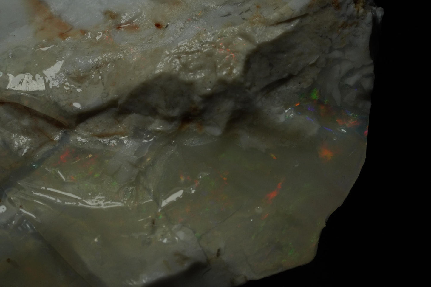 Petrified Opalised Wood Fossil Specimen