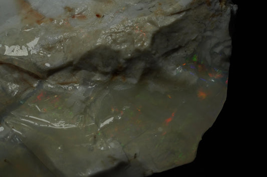 Petrified Opalised Wood Fossil Specimen