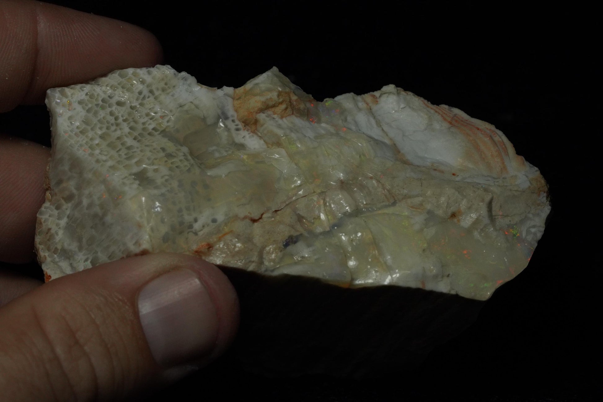 Petrified Opalised Wood Fossil Specimen