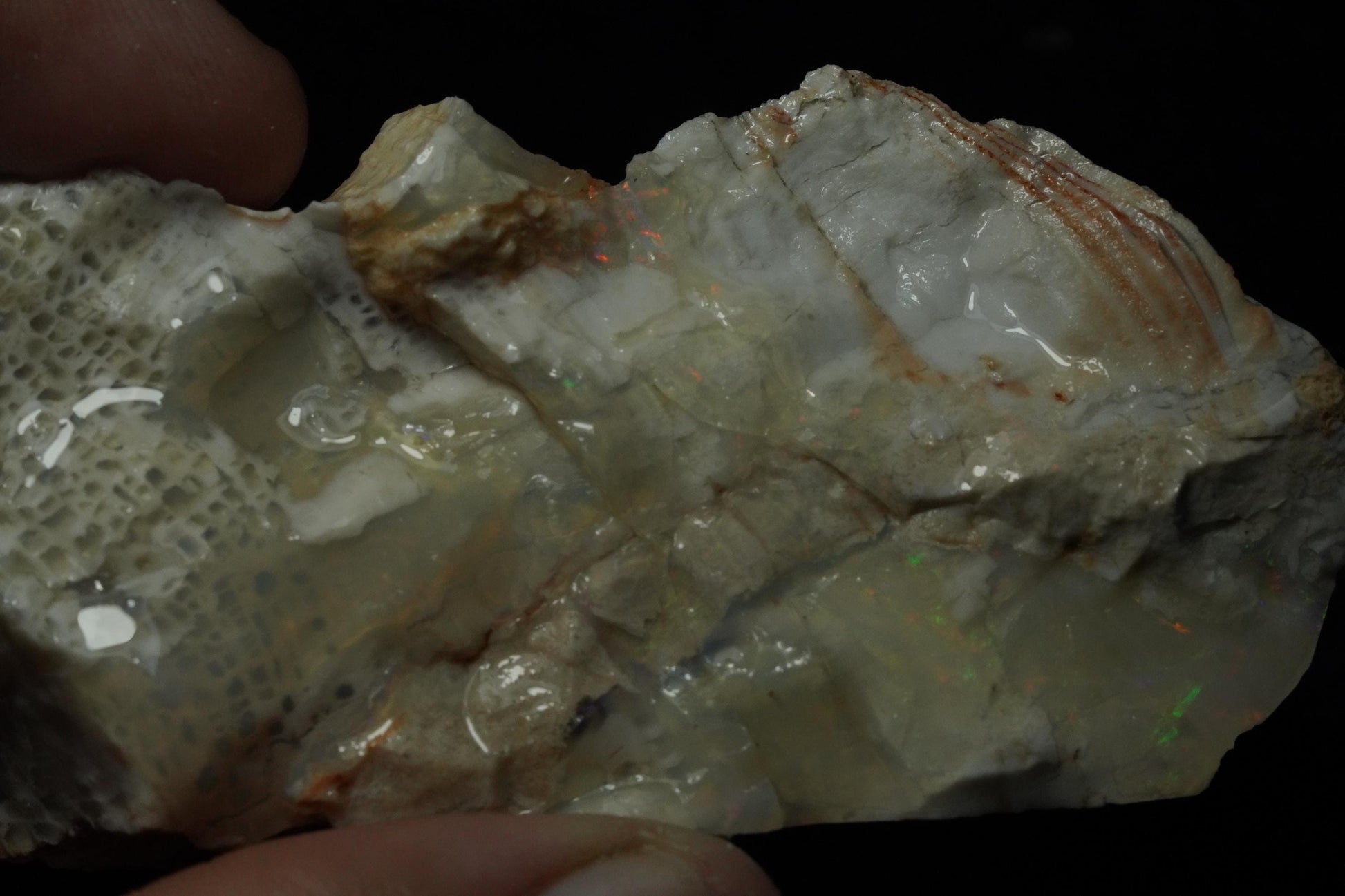 Petrified Opalised Wood Fossil Specimen