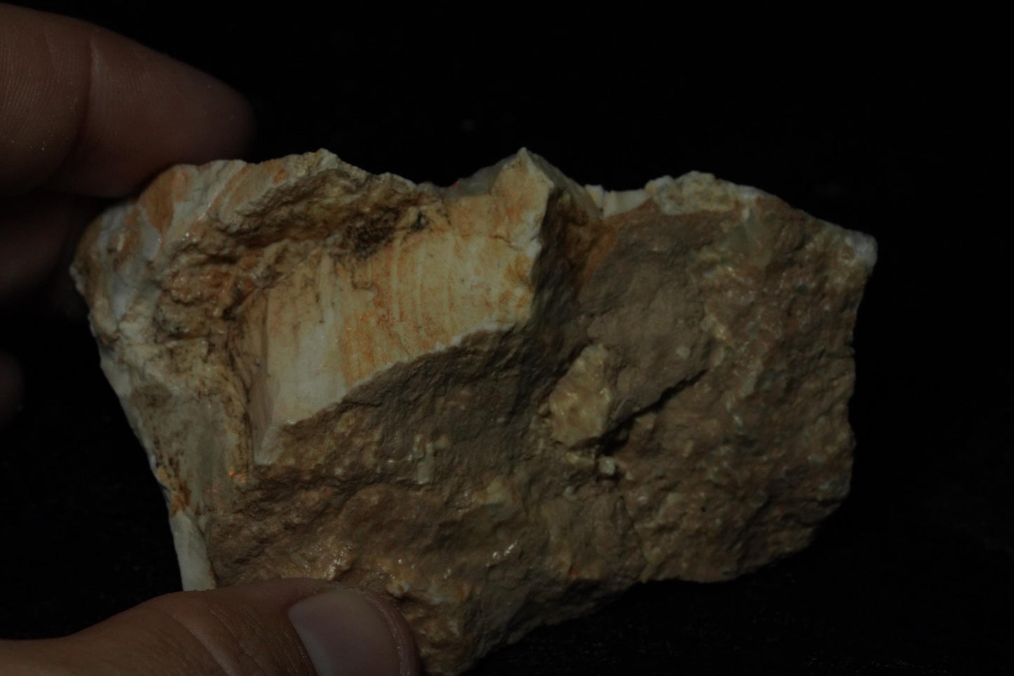 Petrified Opalised Wood Fossil Specimen