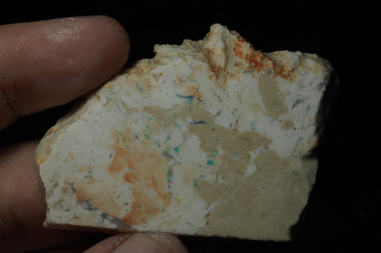 Petrified Opalised Wood Fossil Specimen
