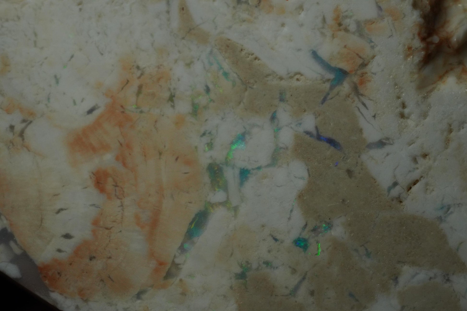 Petrified Opalised Wood Fossil Specimen