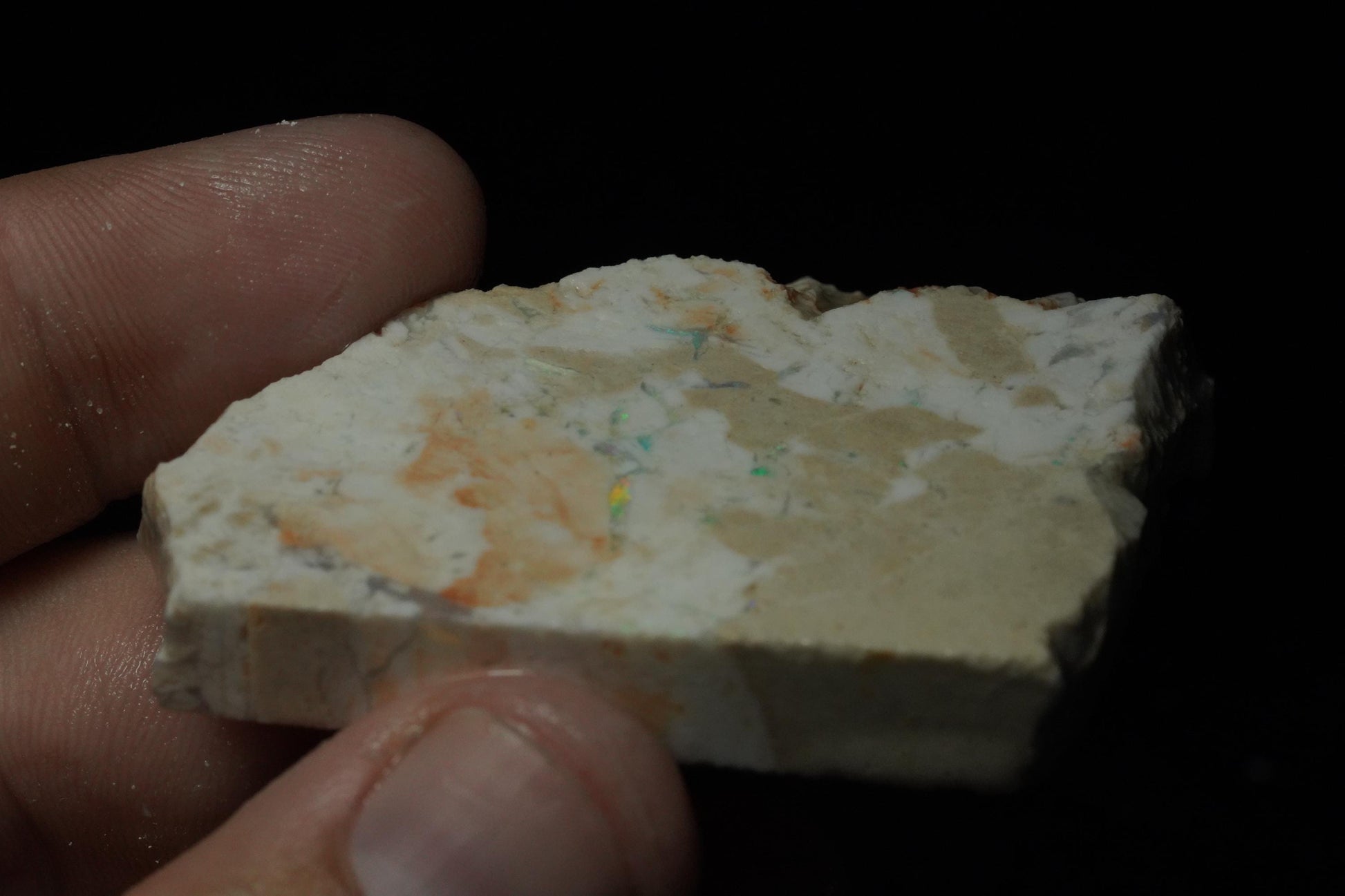 Petrified Opalised Wood Fossil Specimen