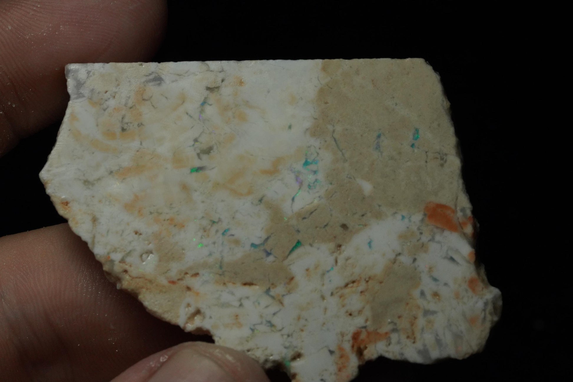 Petrified Opalised Wood Fossil Specimen