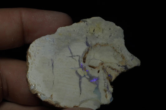 Petrified Opalised Wood Fossil Specimen