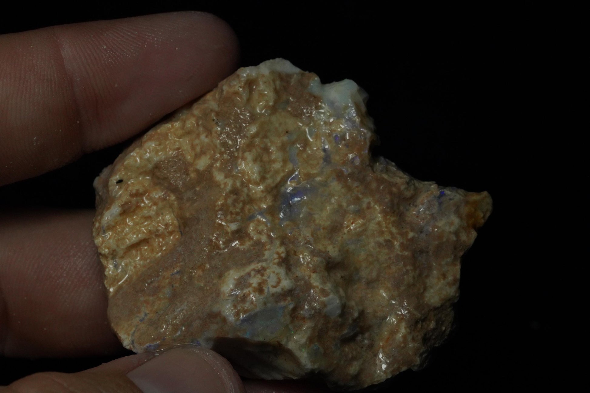 Petrified Opalised Wood Fossil Specimen