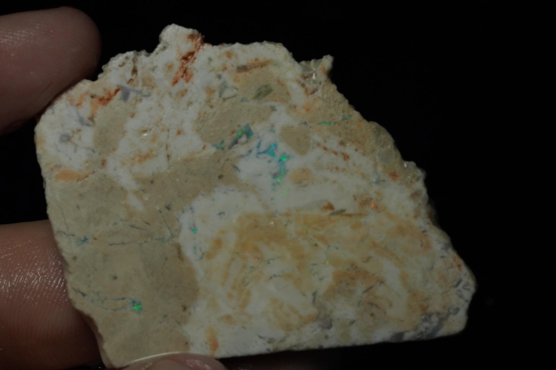 Petrified Opalised Wood Fossil Specimen