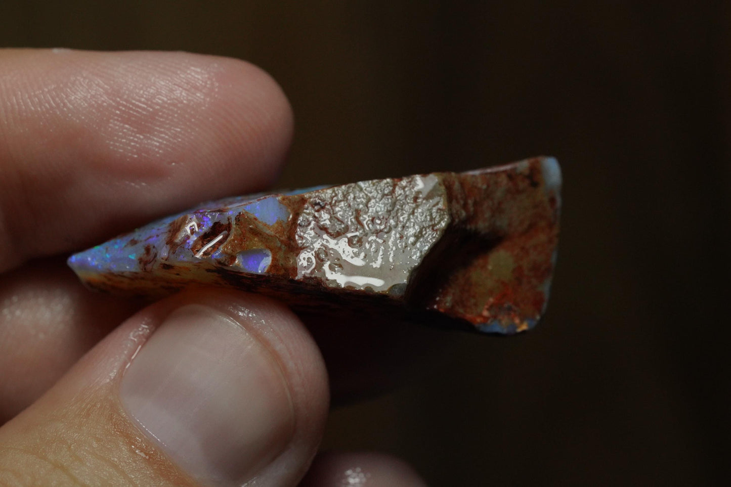 Rough Australian Opal