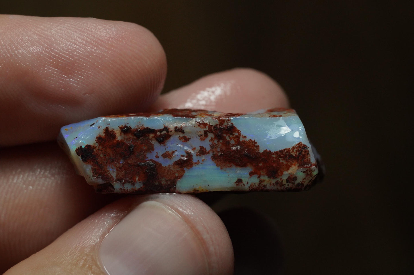 Rough Australian Opal