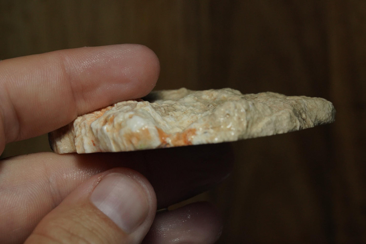 Petrified Opalised Wood Fossil Specimen