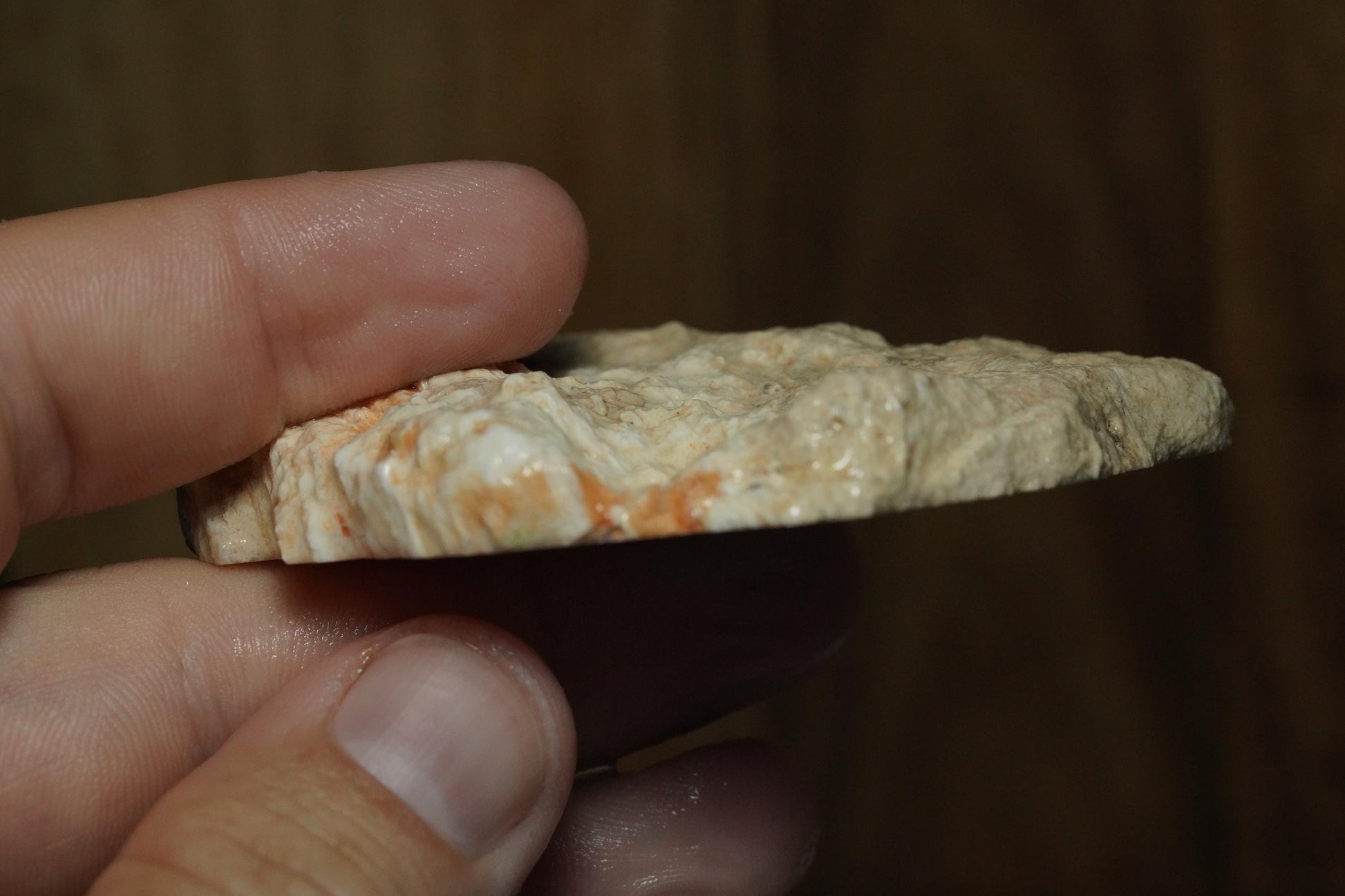 Petrified Opalised Wood Fossil Specimen