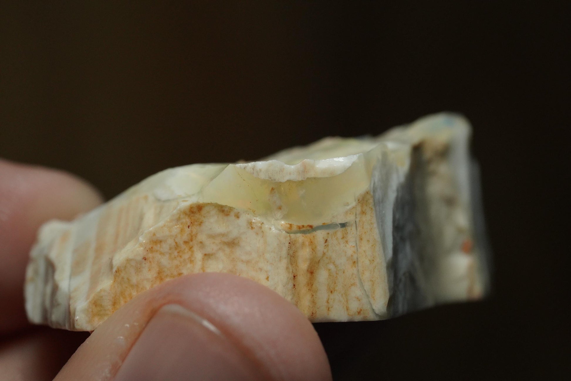 Petrified Opalised Wood Fossil Specimen