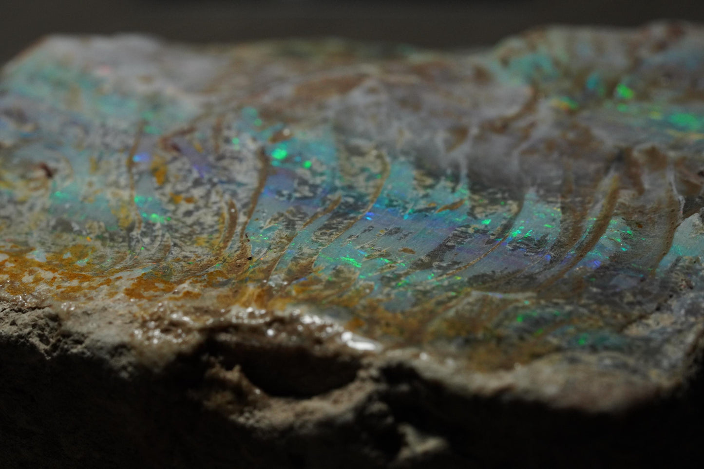 Australian Opal Painted Lady Specimen