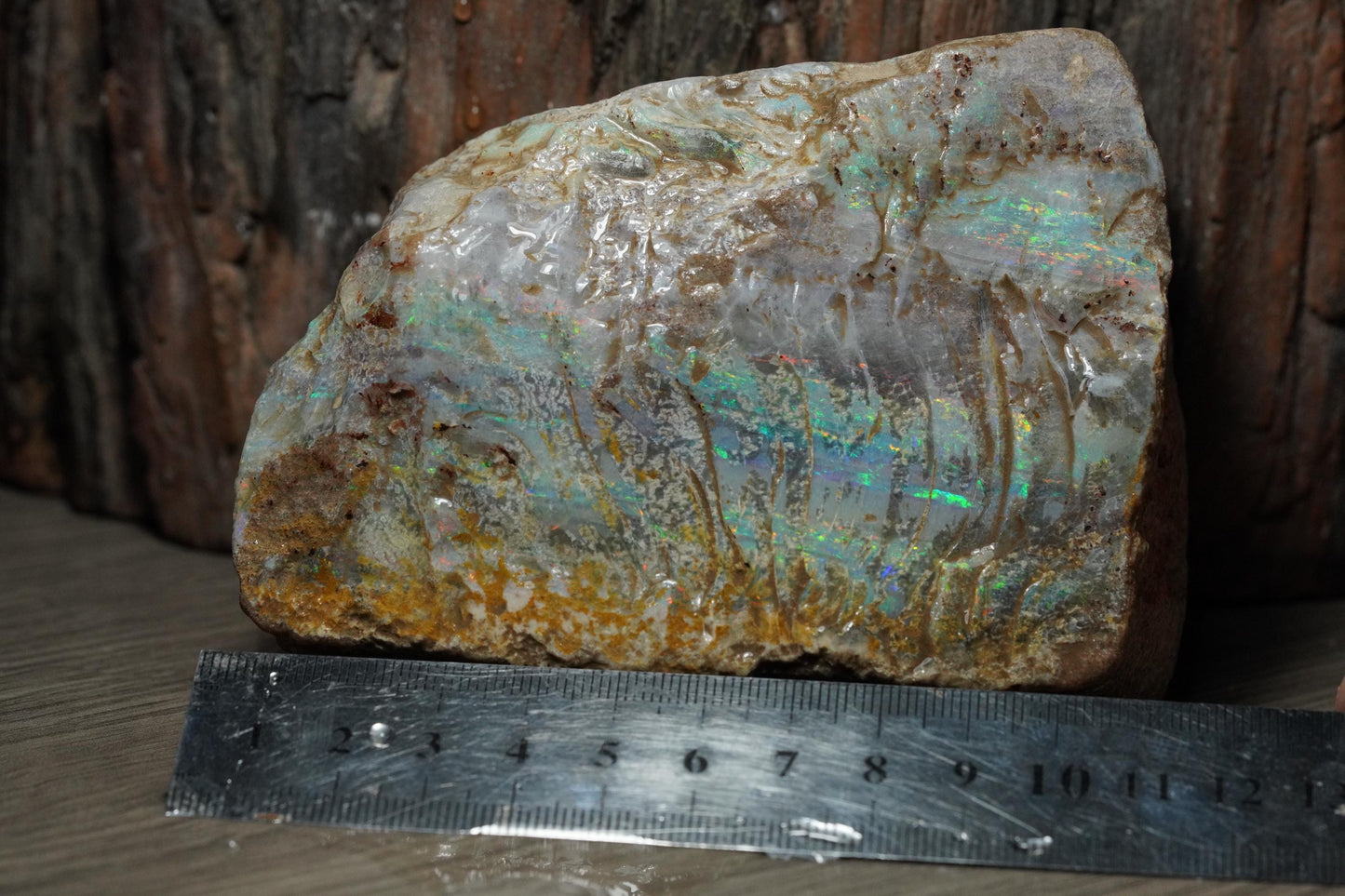 Australian Opal Painted Lady Specimen