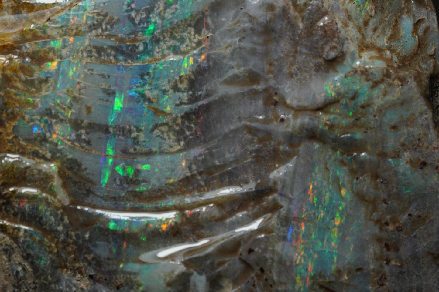 Australian Opal Painted Lady Specimen