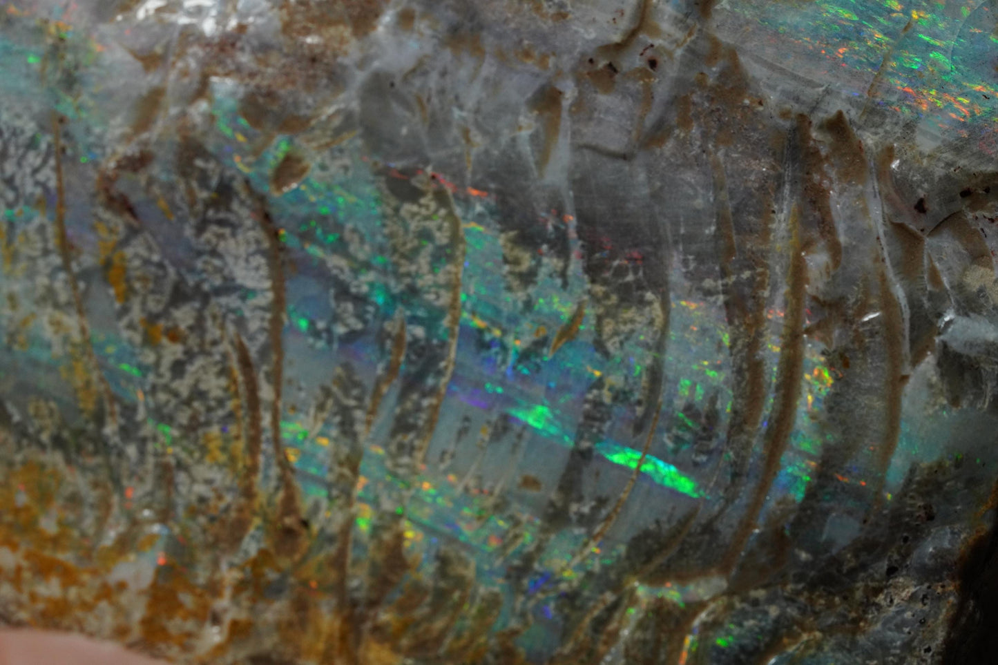 Australian Opal Painted Lady Specimen