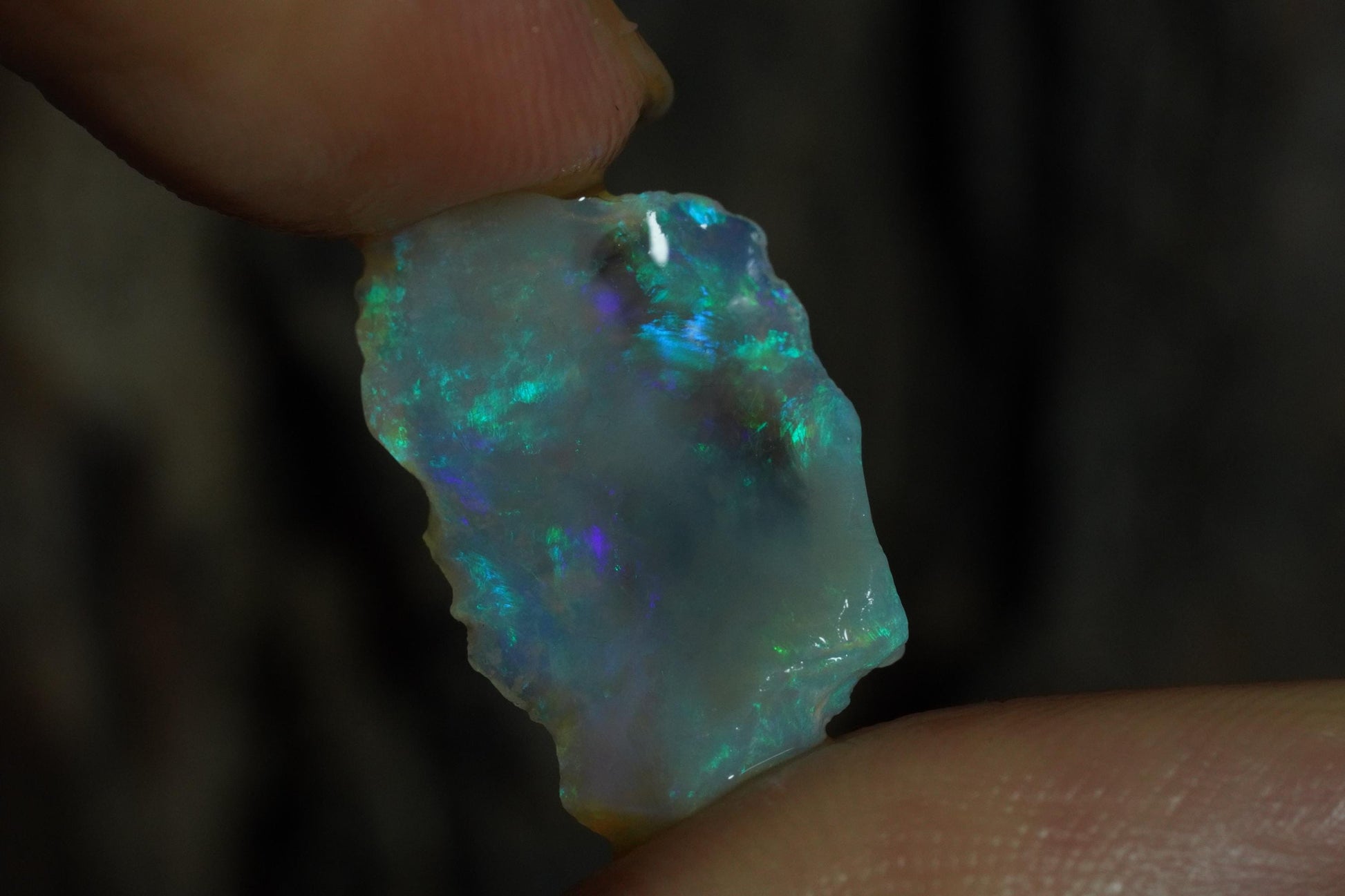 Rough Australian Opal