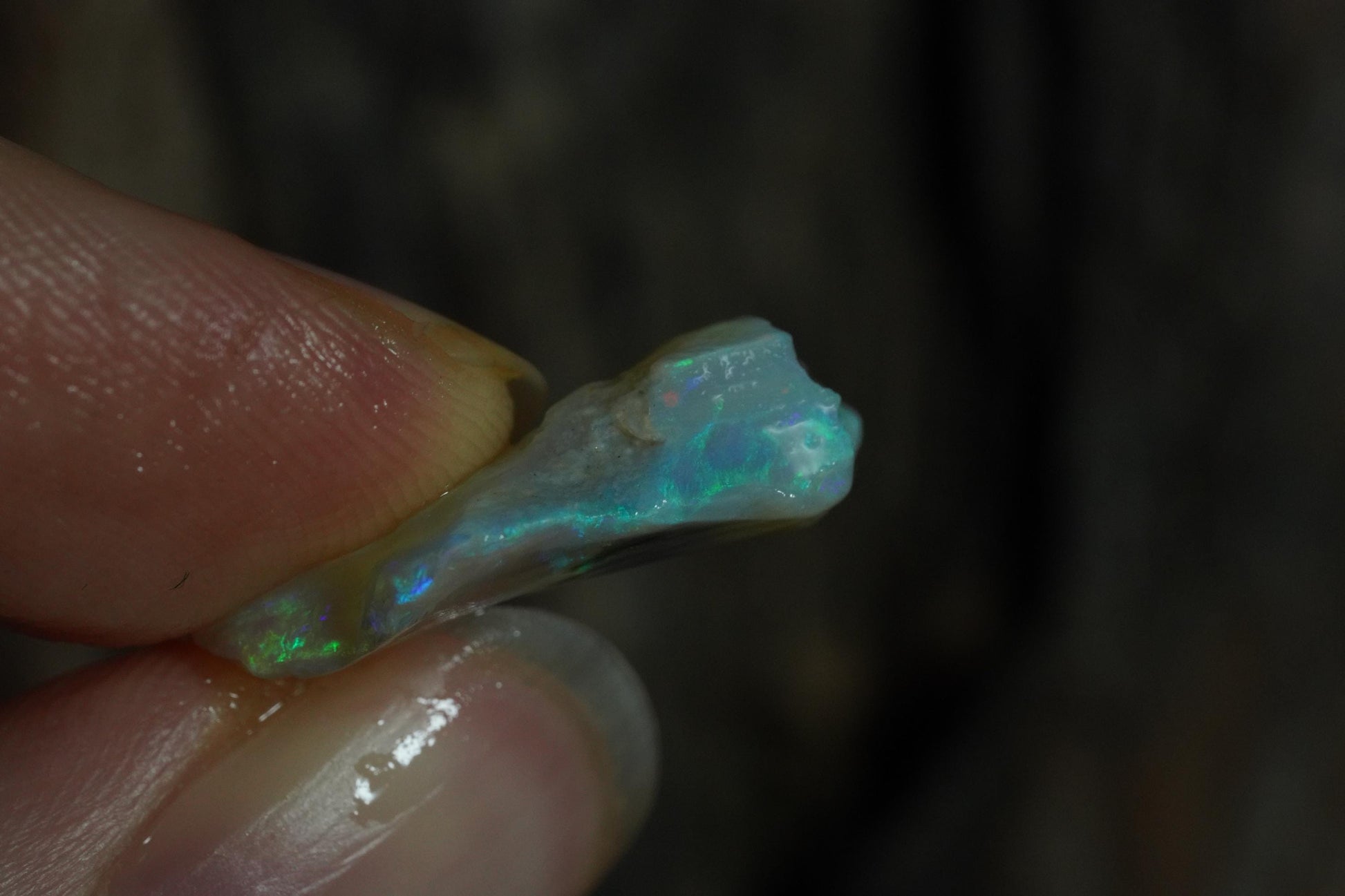 Rough Australian Opal