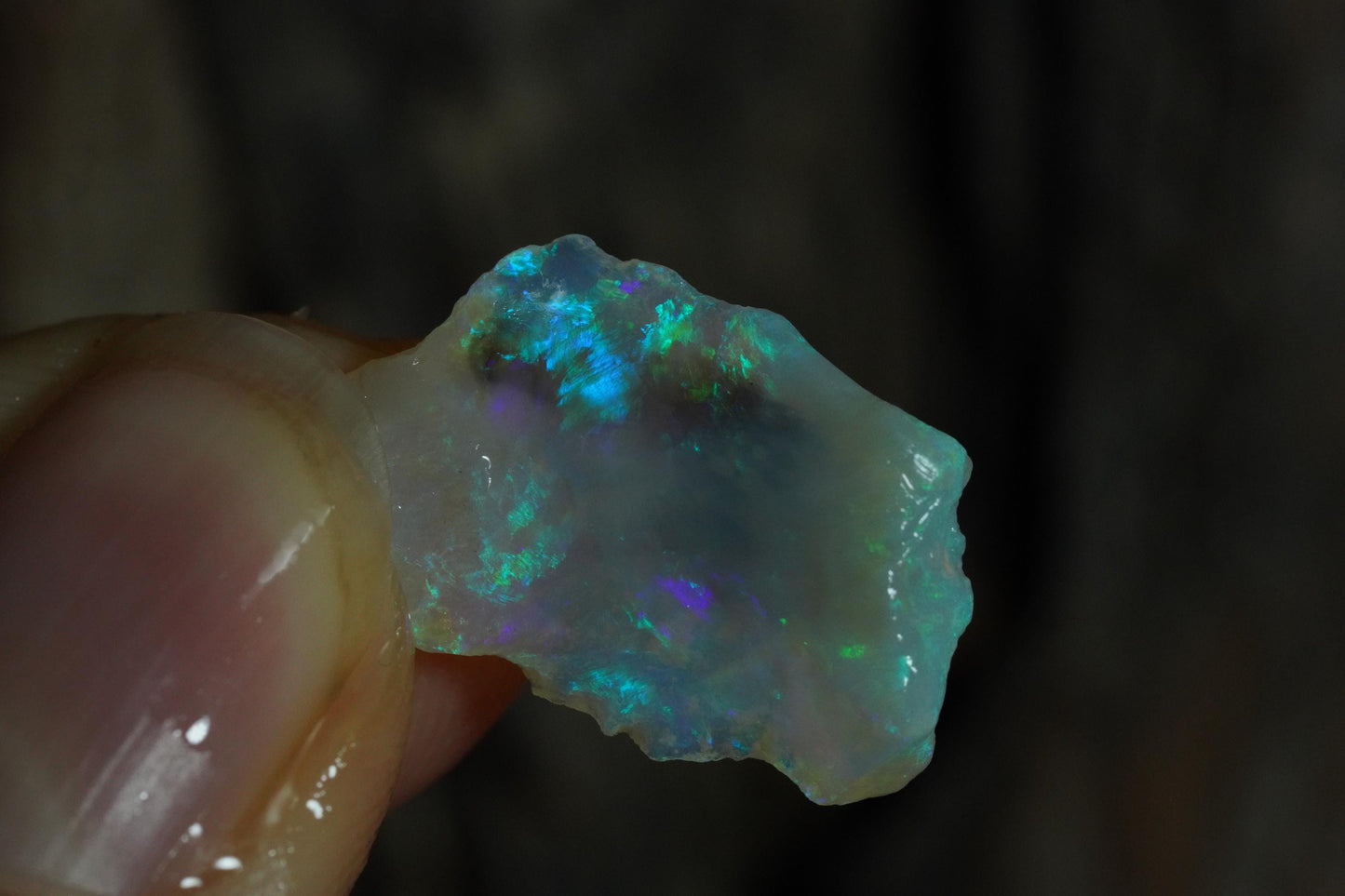 Rough Australian Opal