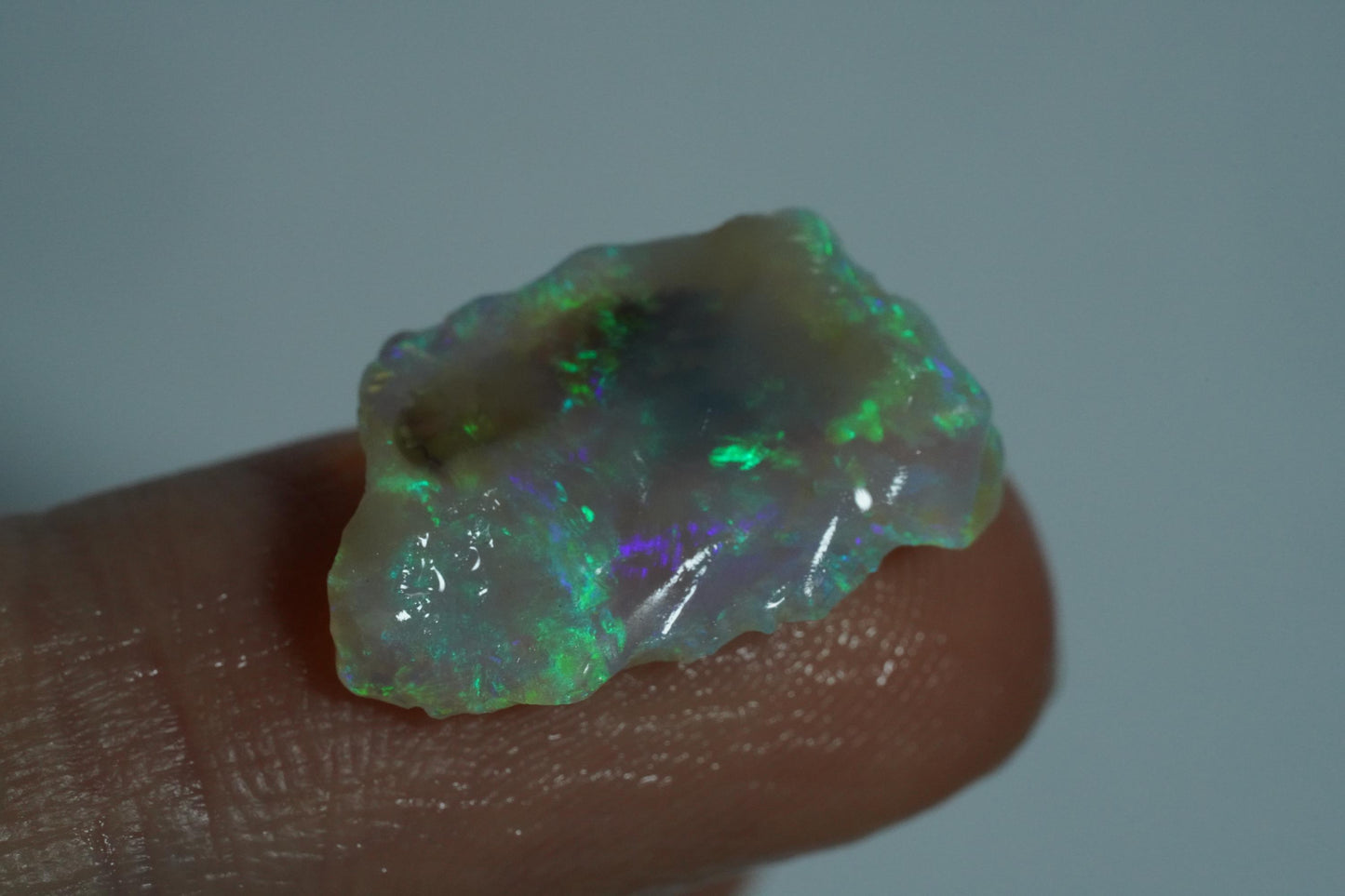 Rough Australian Opal