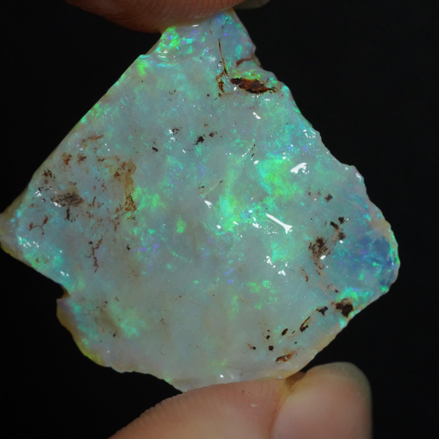 Rough Australian Opal