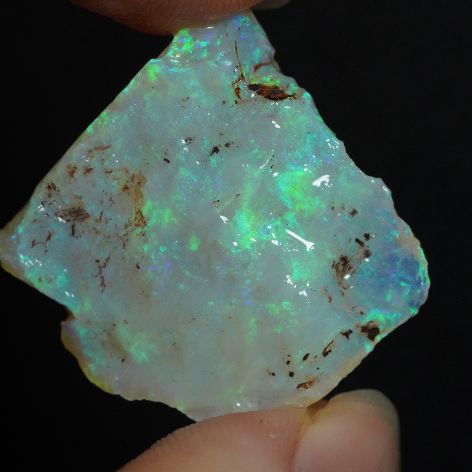 Rough Australian Opal