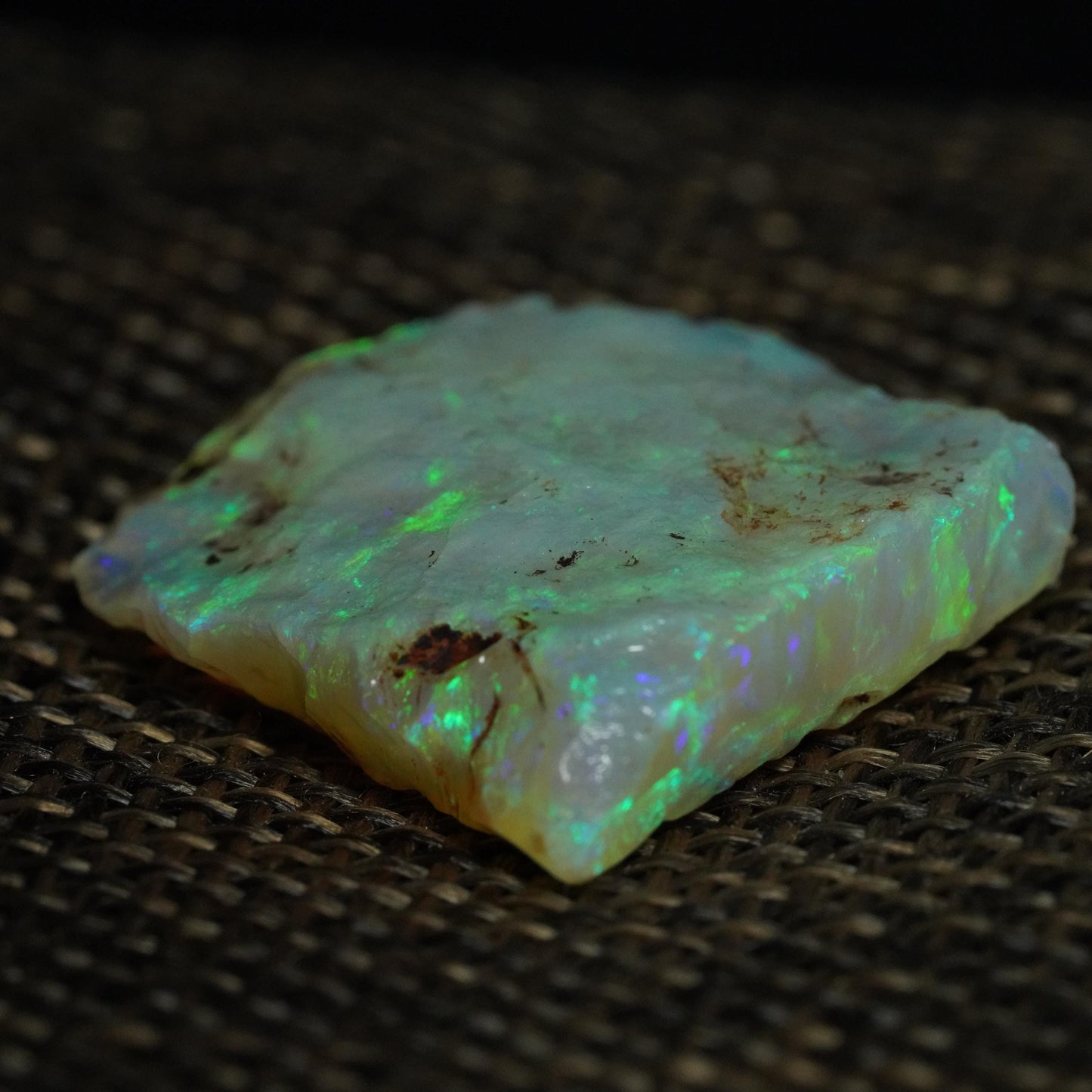 Rough Australian Opal
