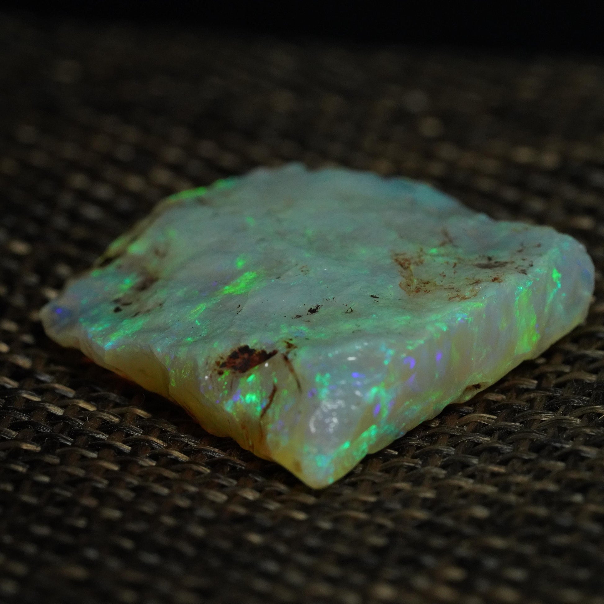 Rough Australian Opal