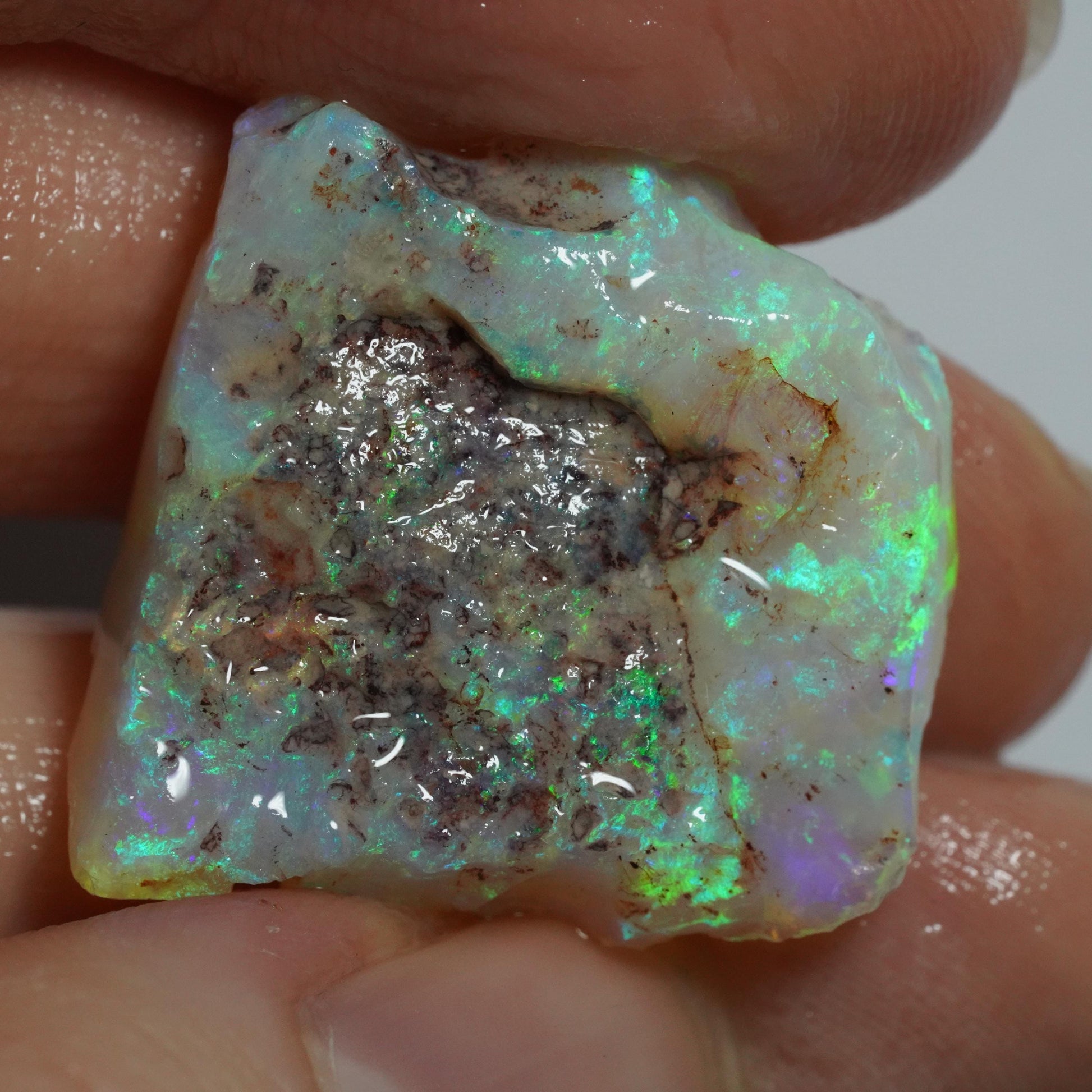 Rough Australian Opal