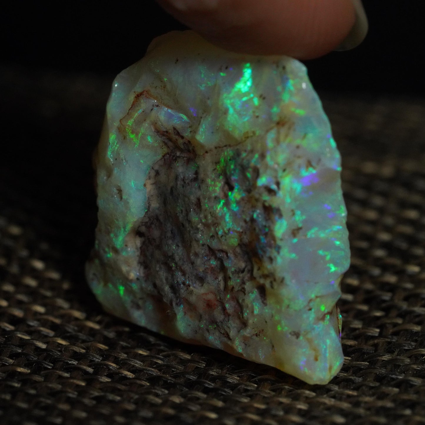 Rough Australian Opal