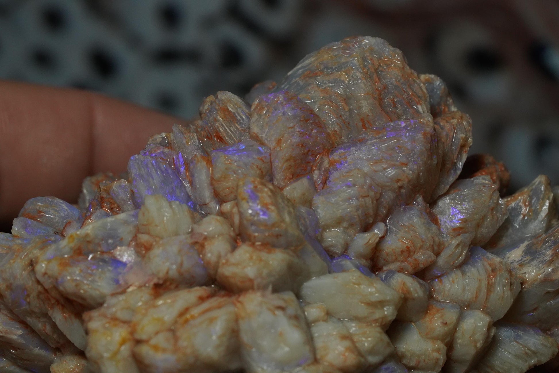 Opal Pineapple