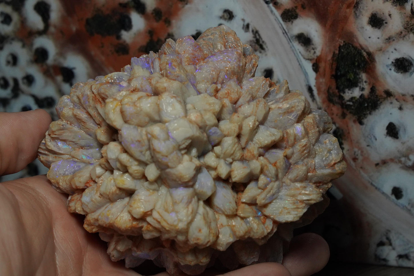 Opal Pineapple