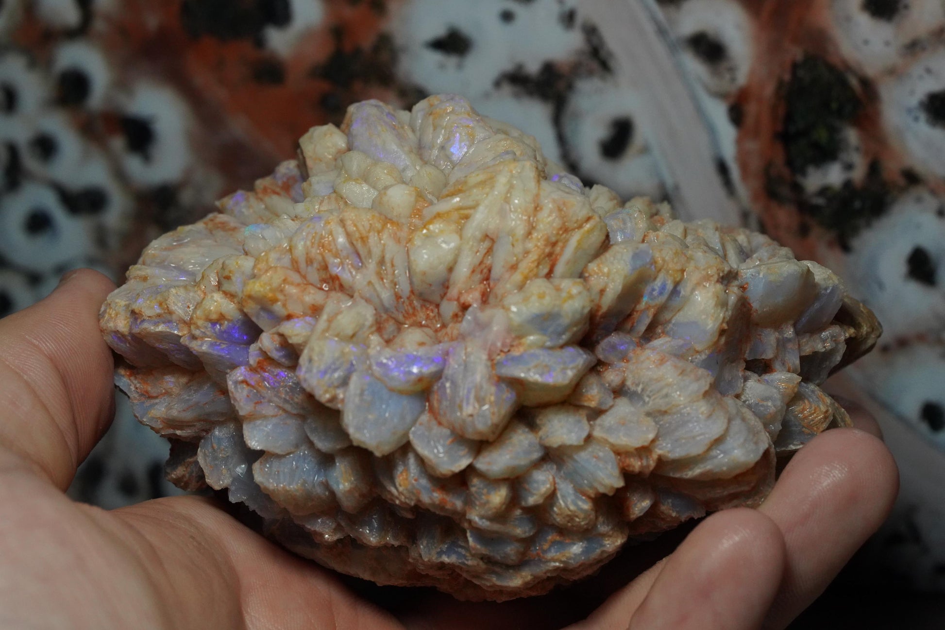 Opal Pineapple