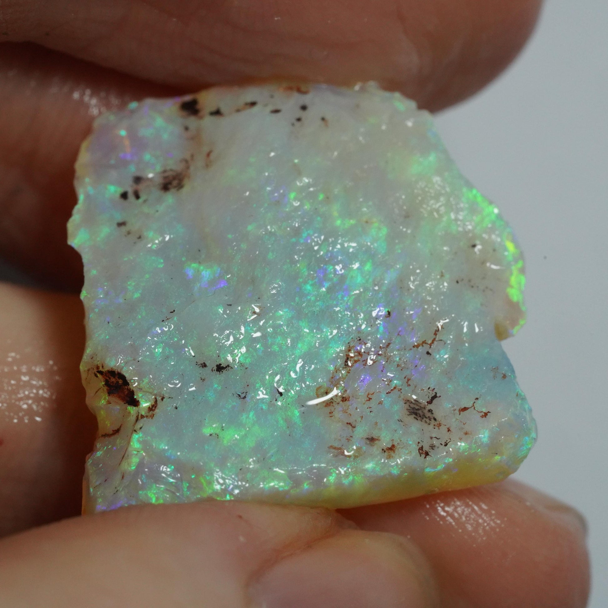 Rough Australian Opal
