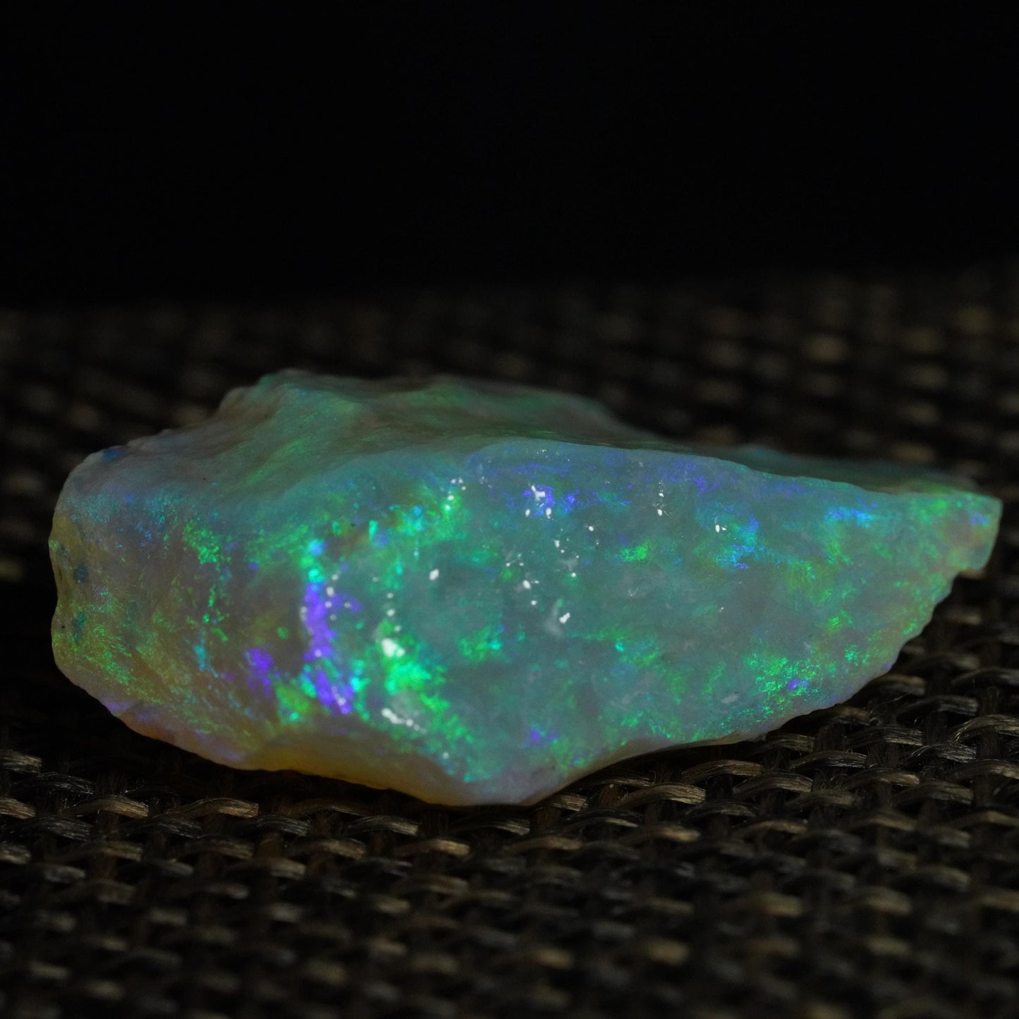 Rough Australian Opal