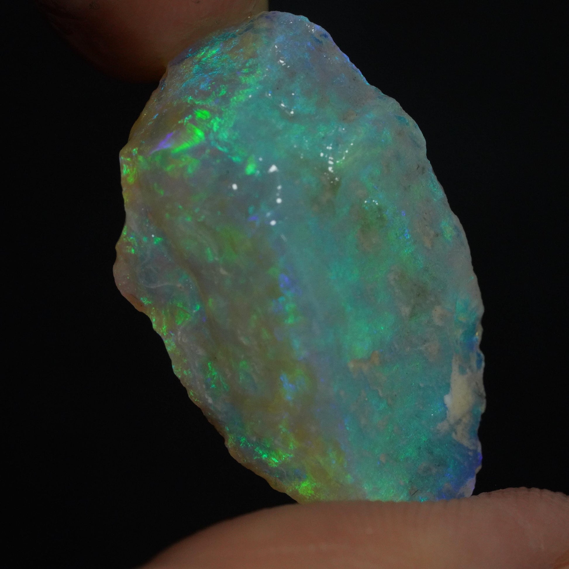 Rough Australian Opal