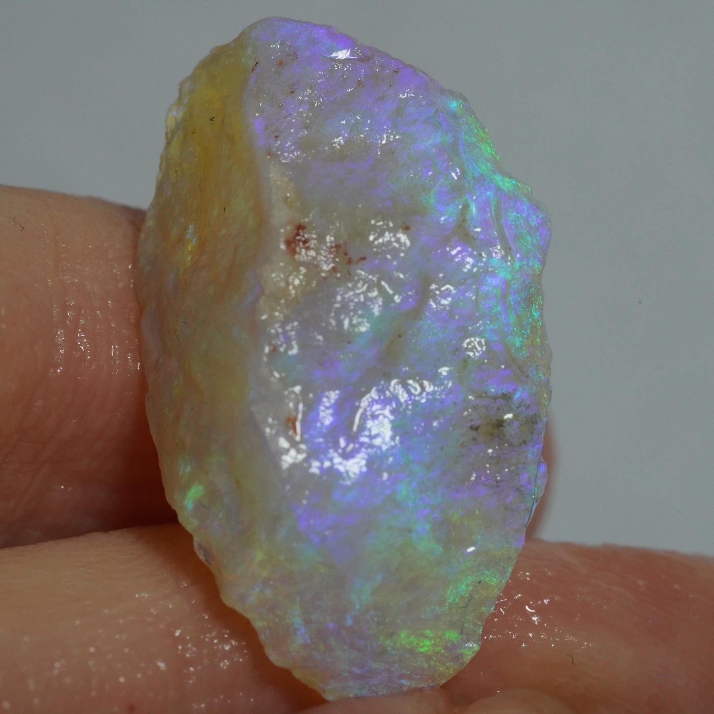Rough Australian Opal